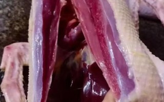 南方蒸鸭 vs 北方蒸鸭：你更爱哪一种？