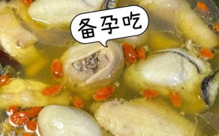 清蒸鸭汤冻：锁住精华的神仙吃法，拌米饭香到舔盘