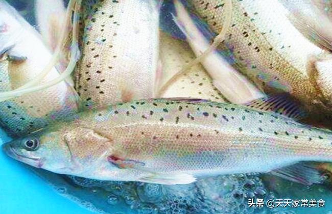 蒸鸭去腥 5 步法：新手也能零失败-第6张图片-久信息网