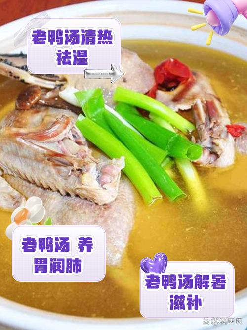 三伏天必吃！蒸鸭滋阴润燥，比绿豆汤更解暑的夏日养生法-第1张图片-久信息网